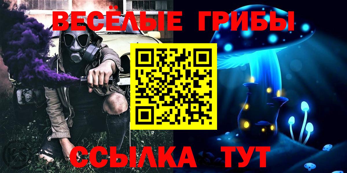 Можайск  Галлюциногенные грибы Cubensis  Вход с VPN 